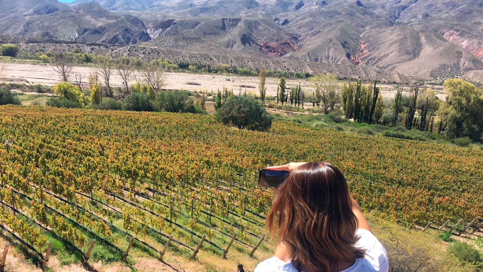 Jujuy: Vitivinicultura de extrema altura