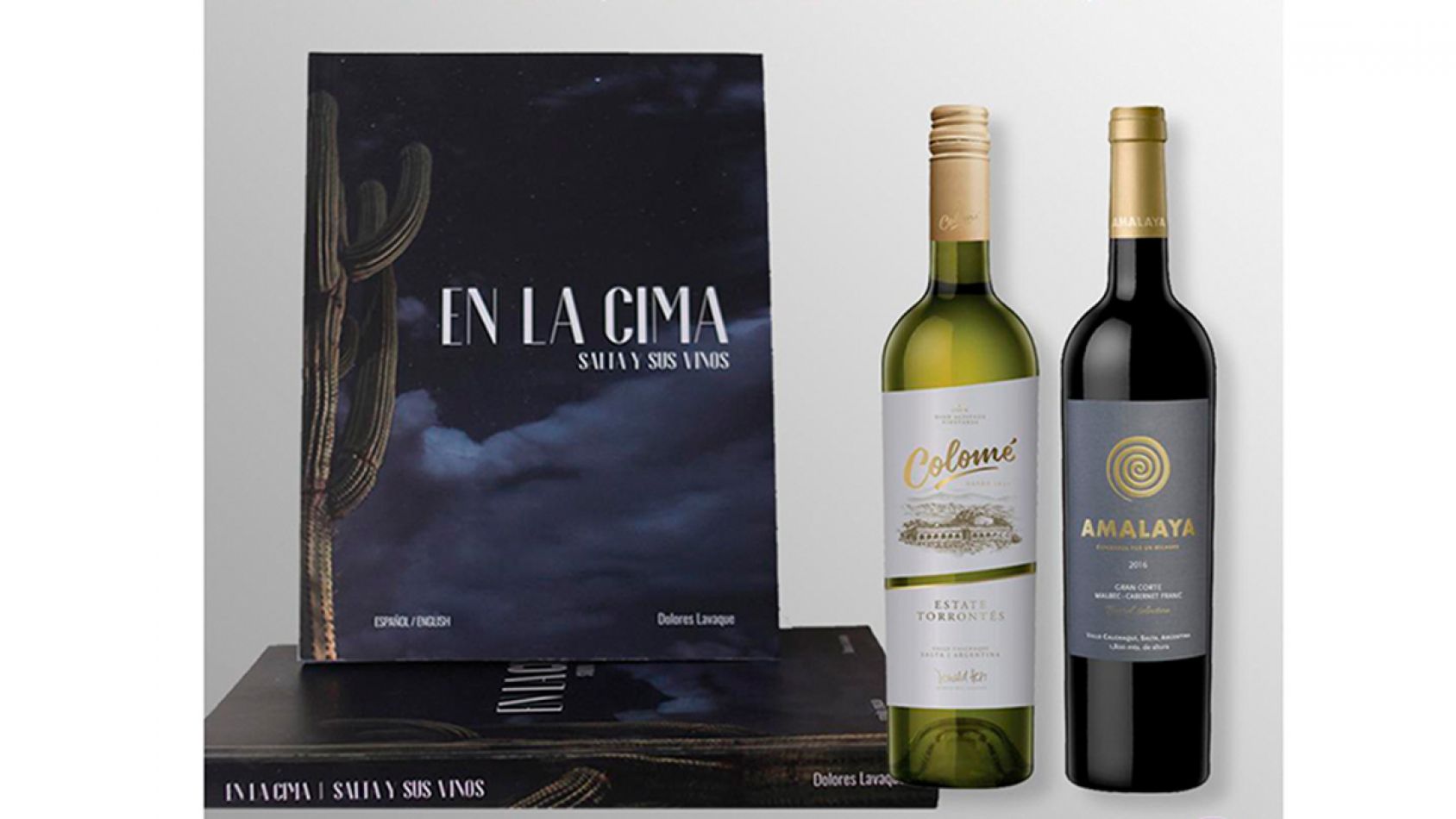 Un recorrido por la ruta del vino, desde tu casa