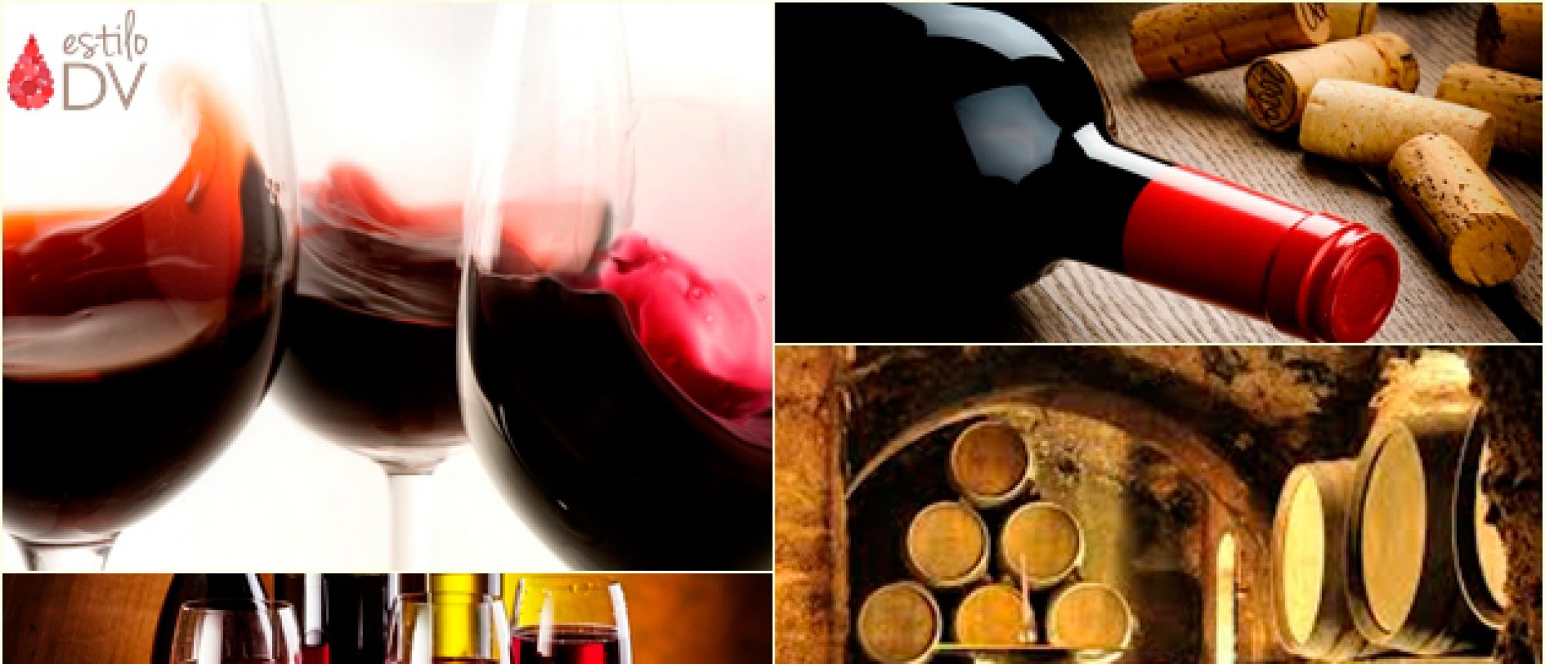 LOS DIFERENCIALES DE LAS BODEGAS SALTEÑAS