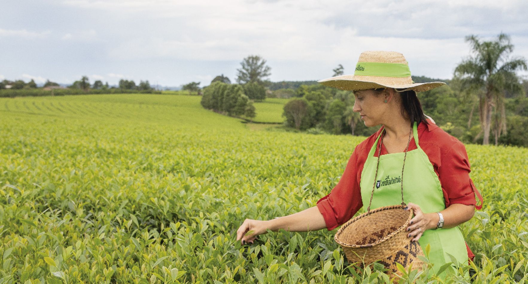 El té está en todas partes, te abraza, te conquista sin que te des cuenta.