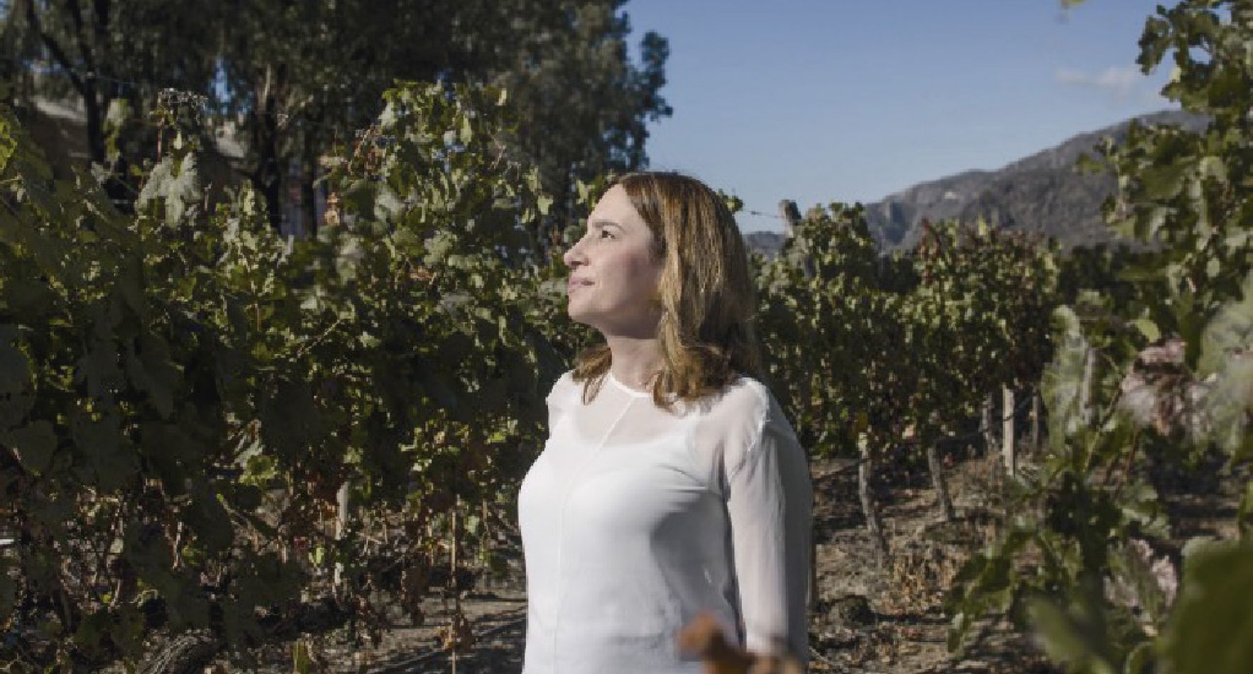 Salta es la región que tiene como desafío mantenerse en la cima referente a sus vinos y el enoturismo,