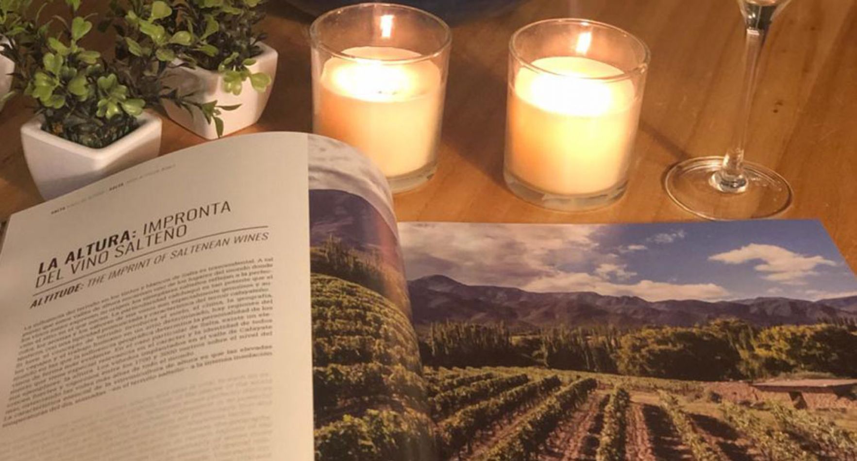 El libro Pisaúvas, en Salta podés encontrarlo en Doce Letras y en la Librería La Rayuela.