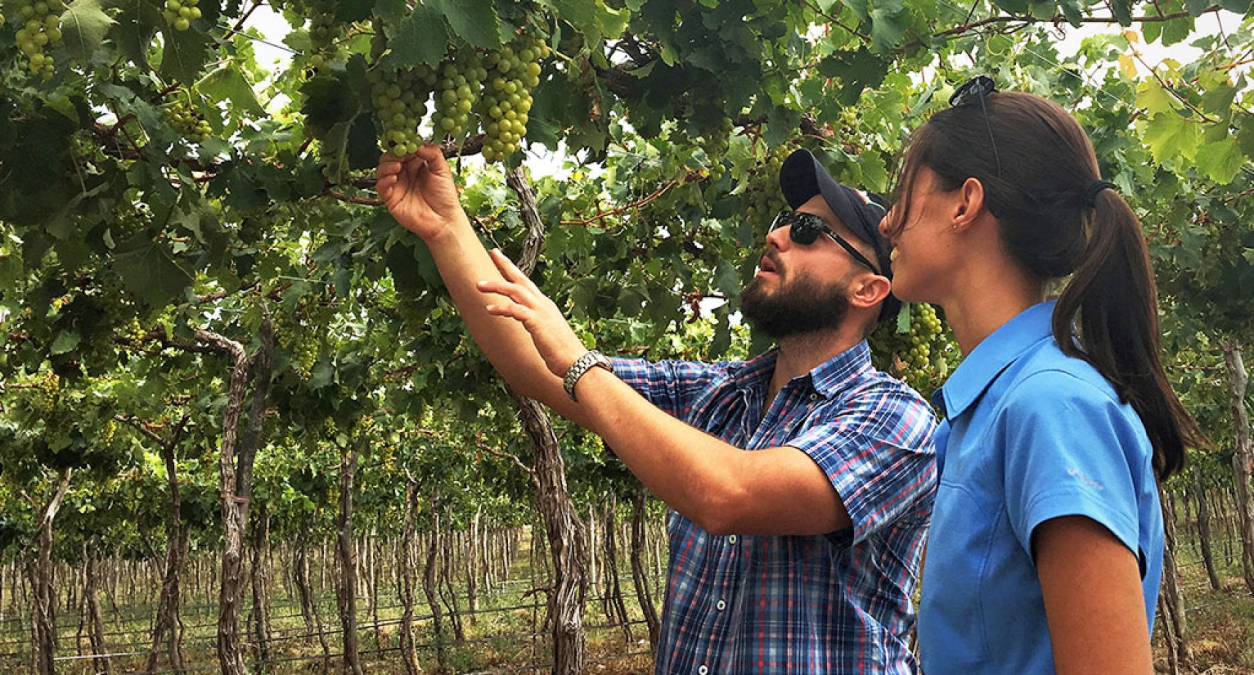 Bodega Dal Borgo, pasión por el vino y cuidado del medio ambiente