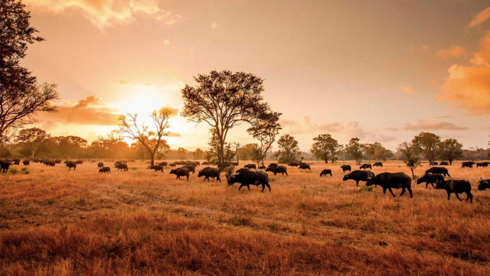 Sudafrica