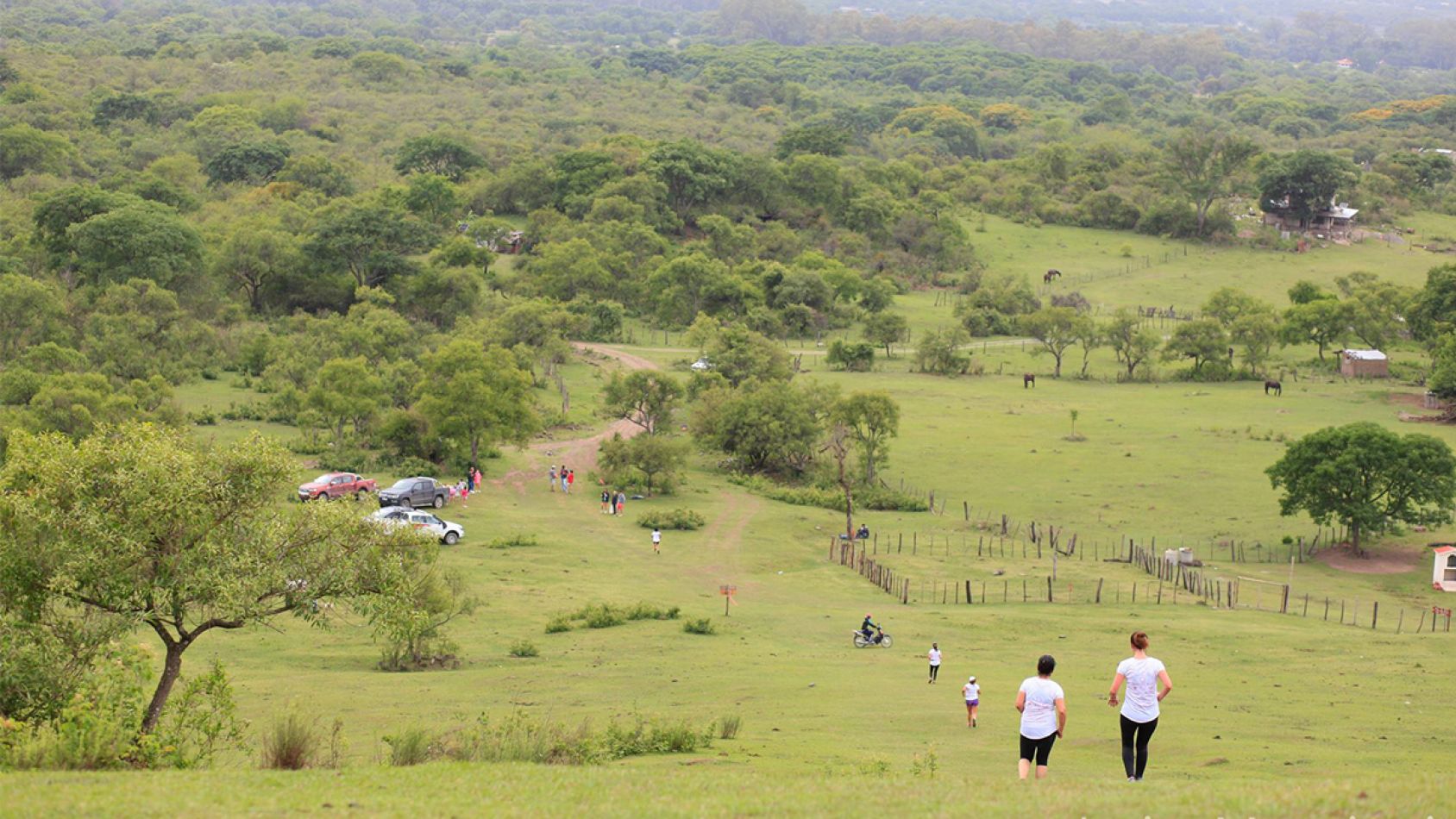 carrera