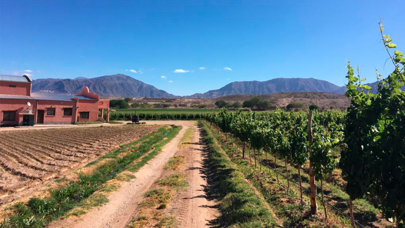 bodega el tapao del cese angastaco