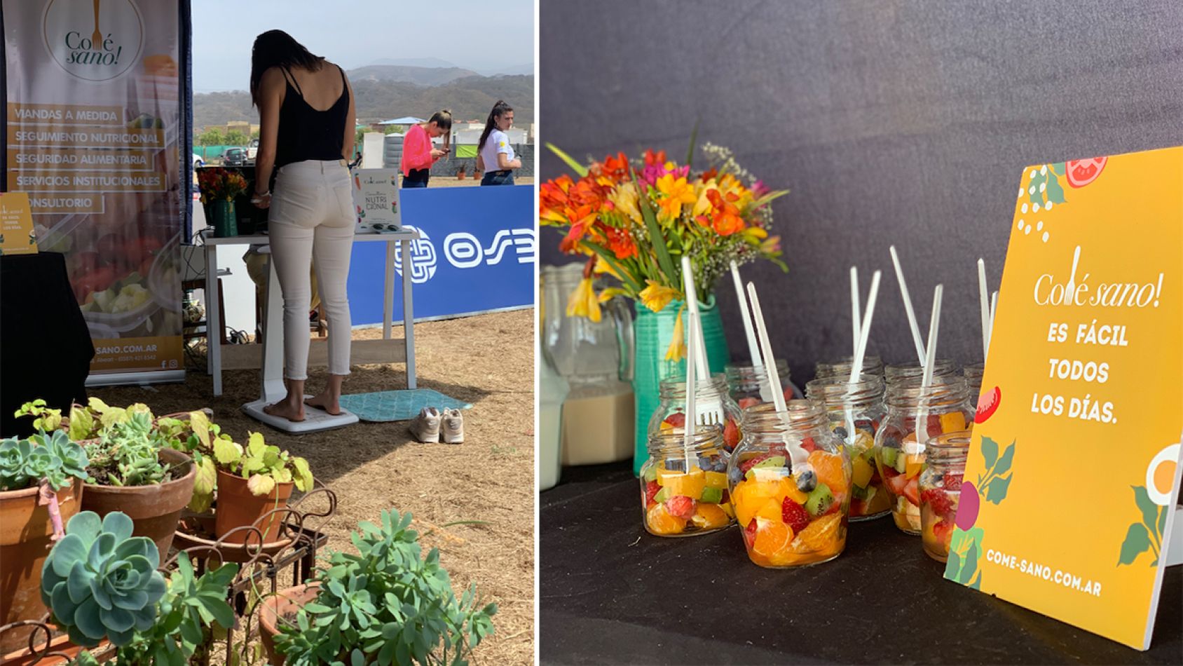 osde y comé sano en EstiloDV Market