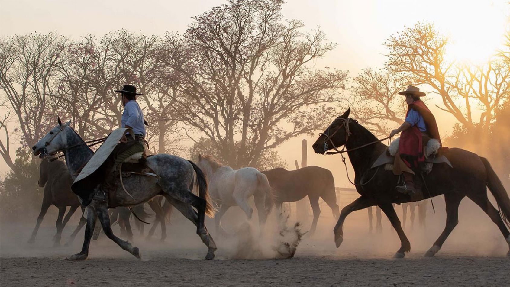 El bordo de las lanzas cabalgatas salta estancias