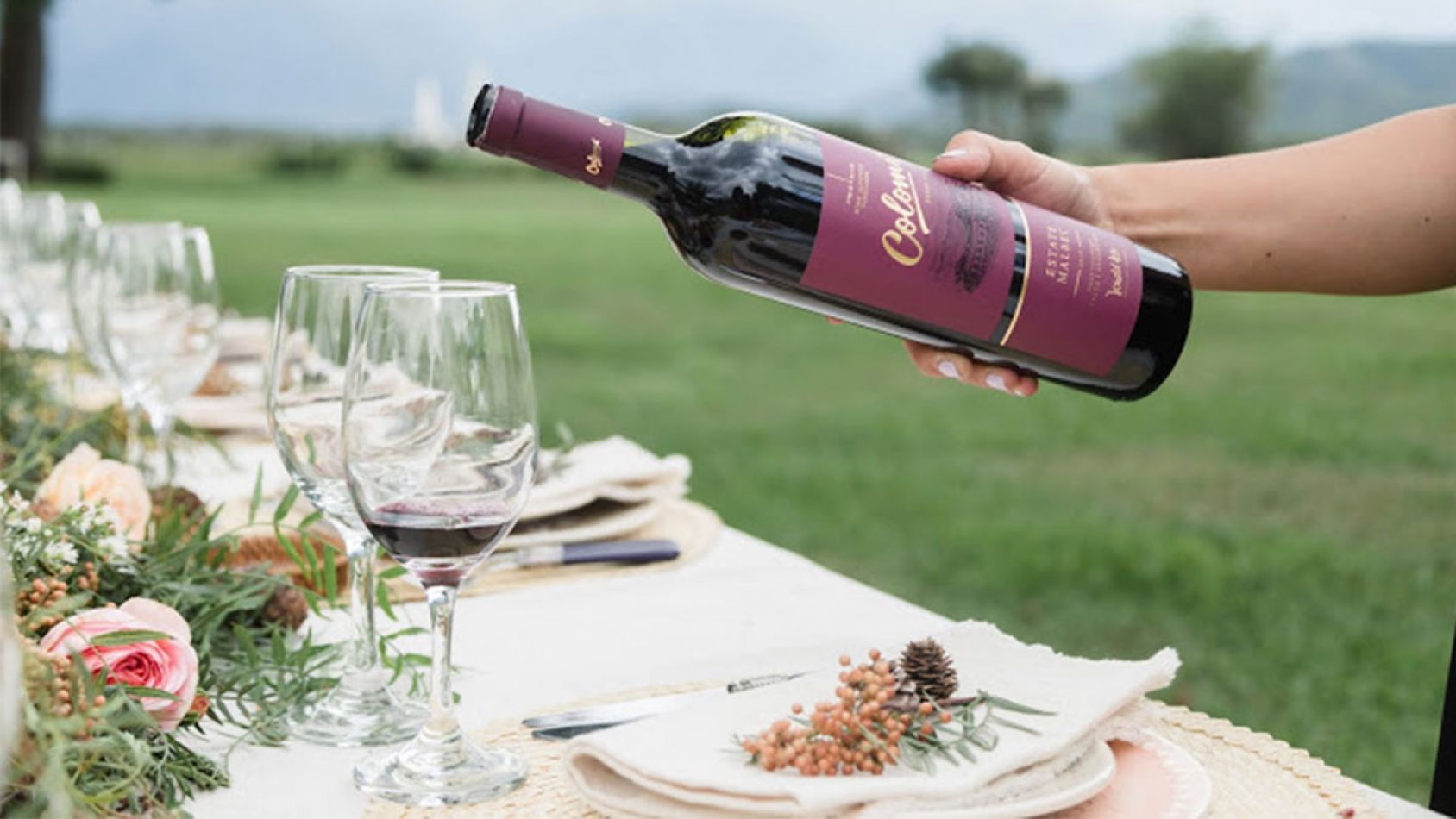 Bodega Colomé vinos