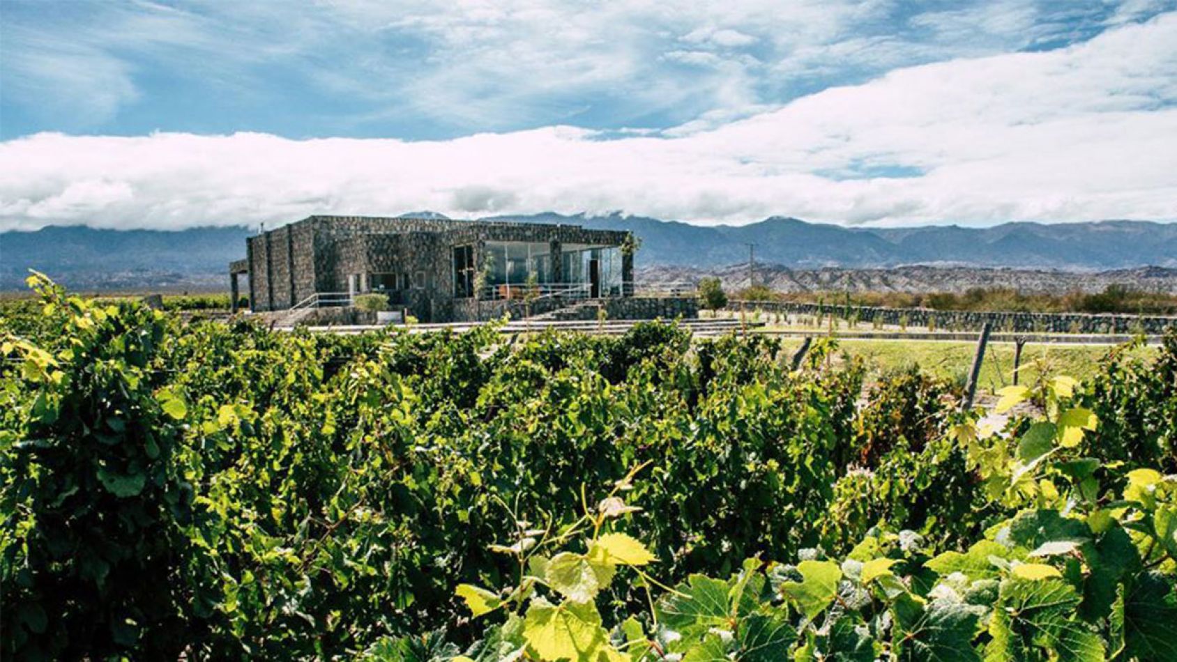 Cardones - Bodega en Cafayate