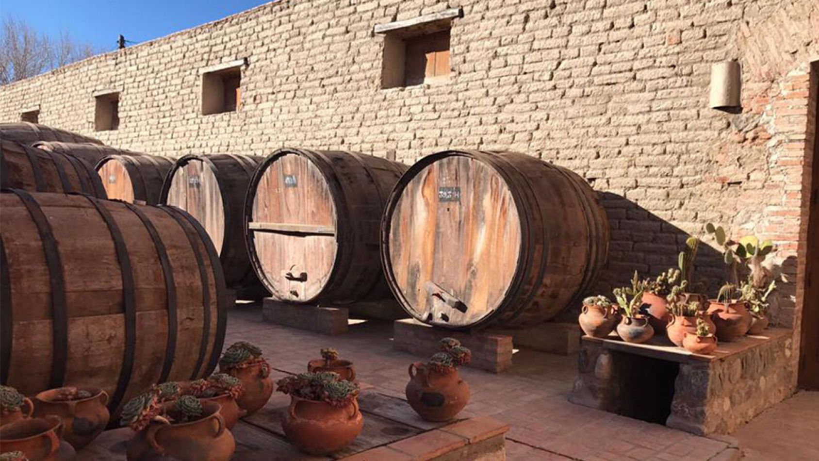 Bodega el Porvenir - Cafayate
