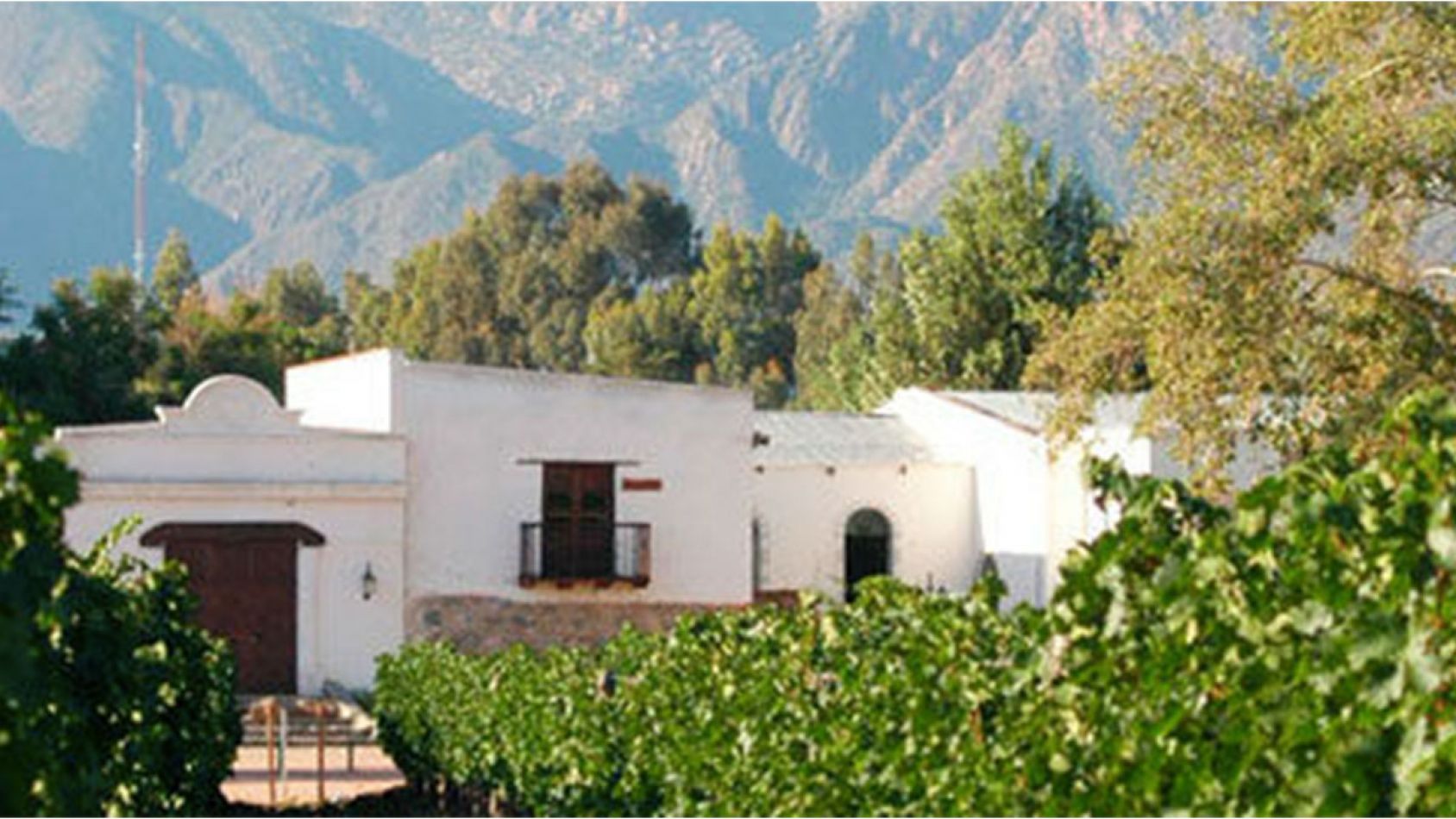 Vasija Secreta - Bodega El Porvenir