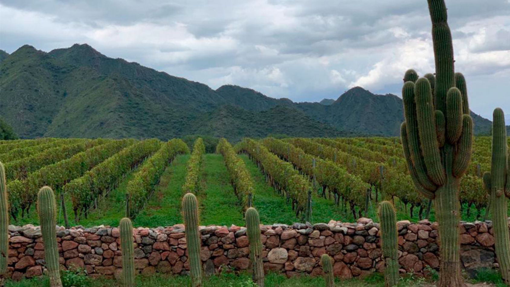 San pedro de yacochuya- Bodega cafayate