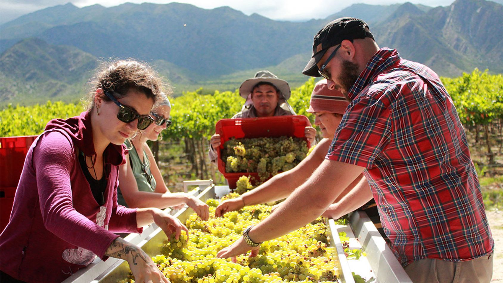 Bodega Dal Borgo- Cafayate