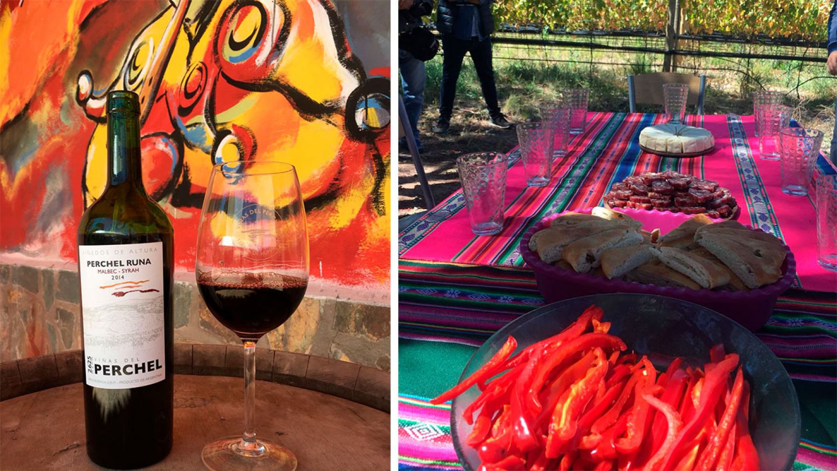 Viñas de Perchel, Jujuy. Vinos de altura
