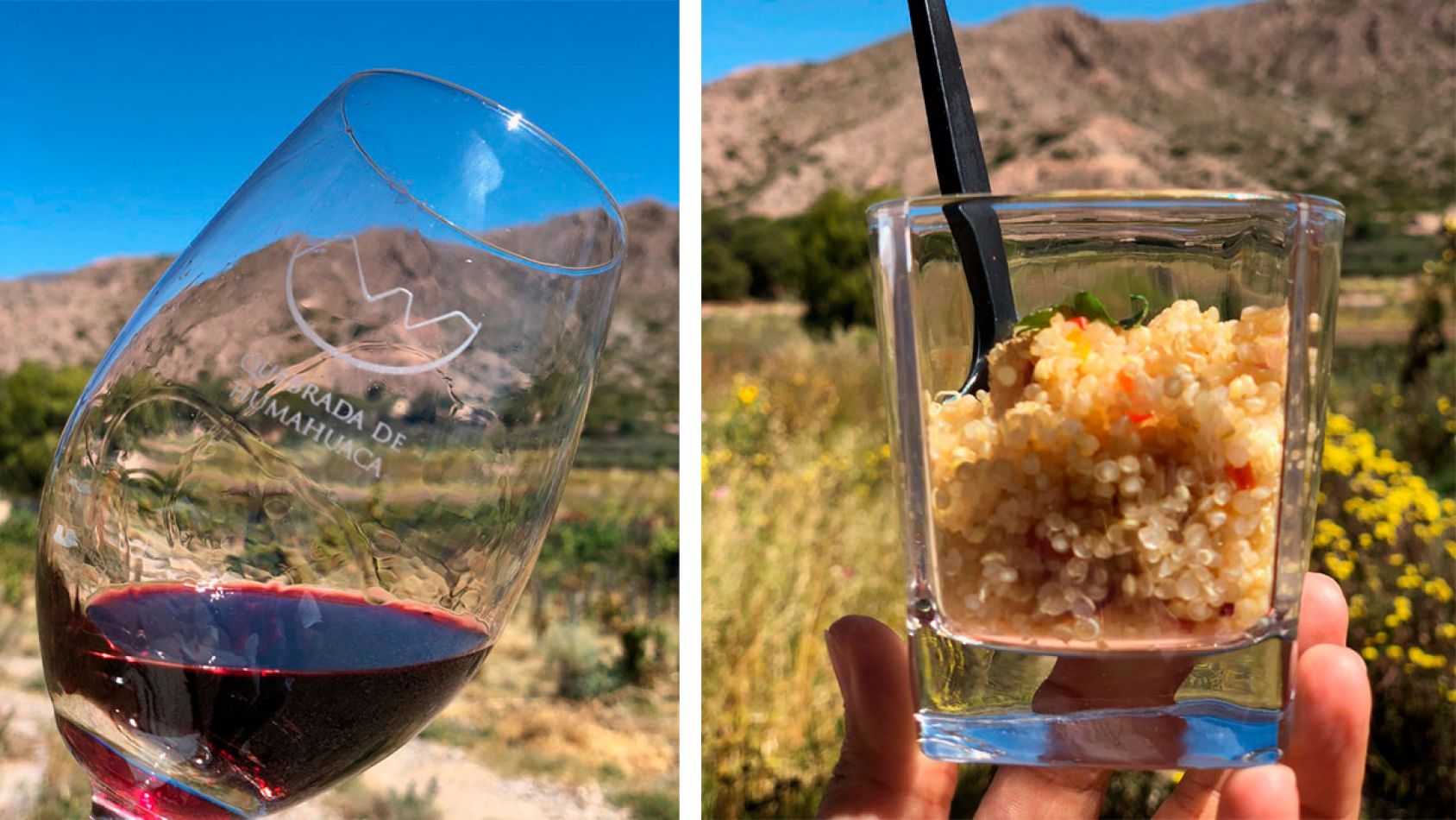 Viñas de Uquía - Jujuy, vinos de altura.