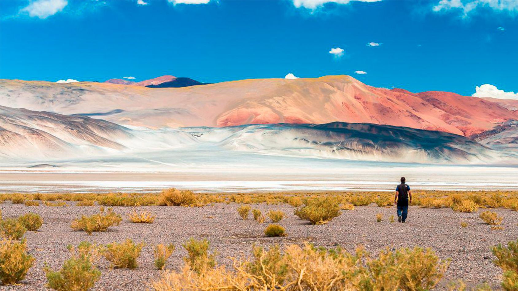 El equipo de Socompa Adventure Travel- catamarca