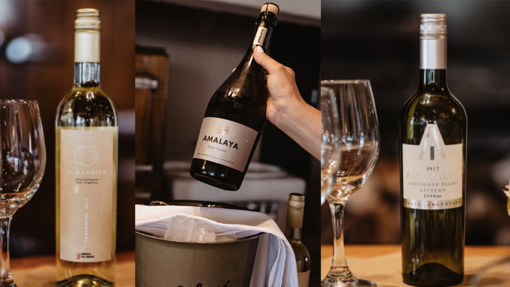 bodegas de salta- vinos de altura