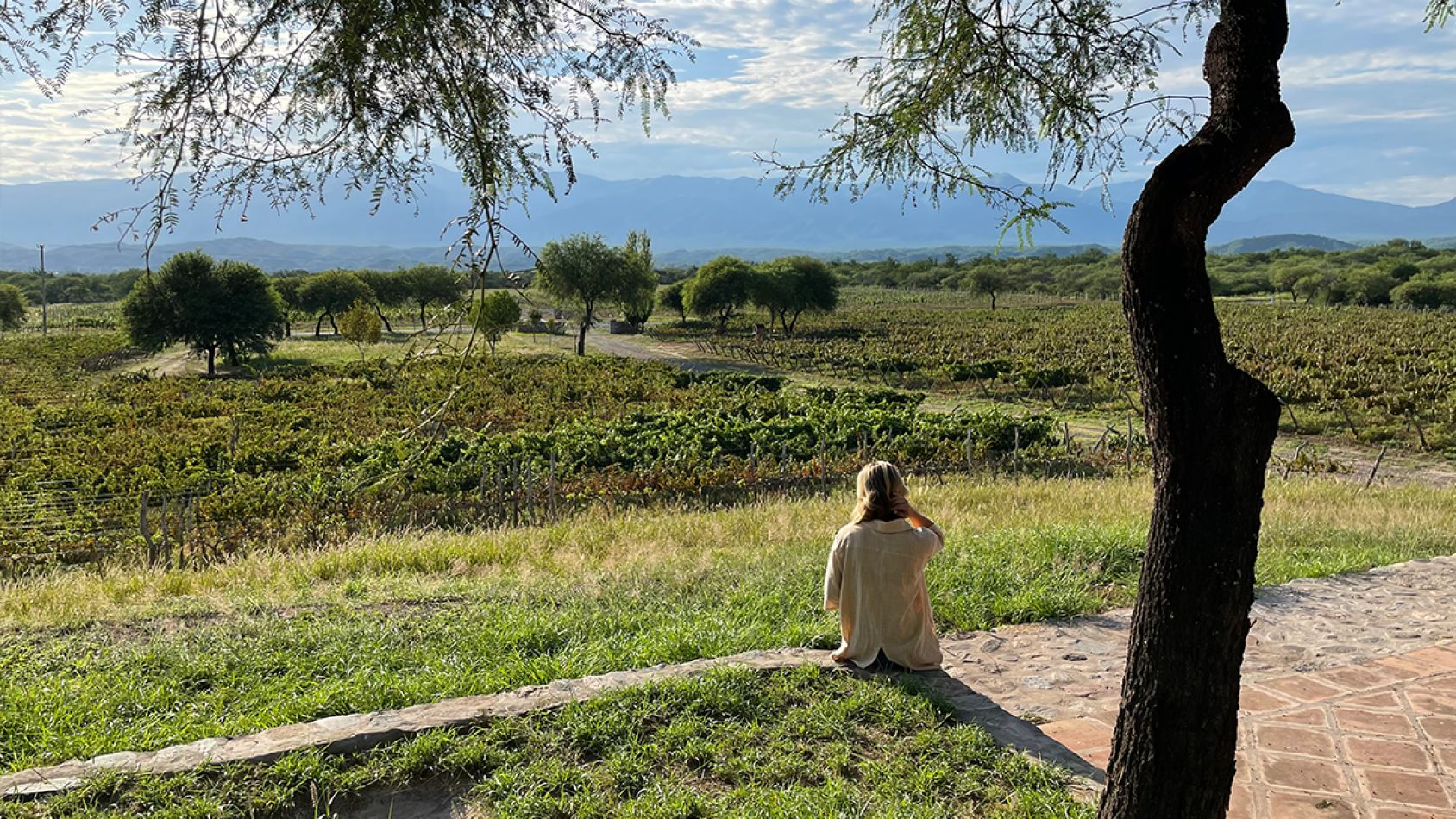 Viñas de la viña