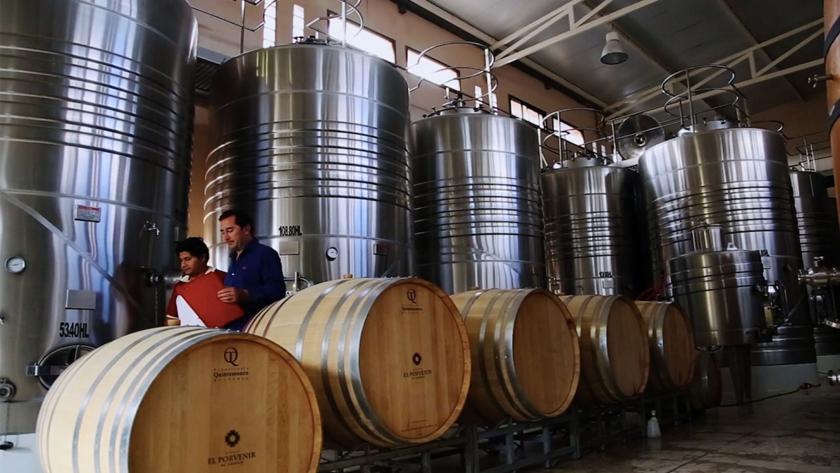 Lucia romero enologa vinos salta cafayate