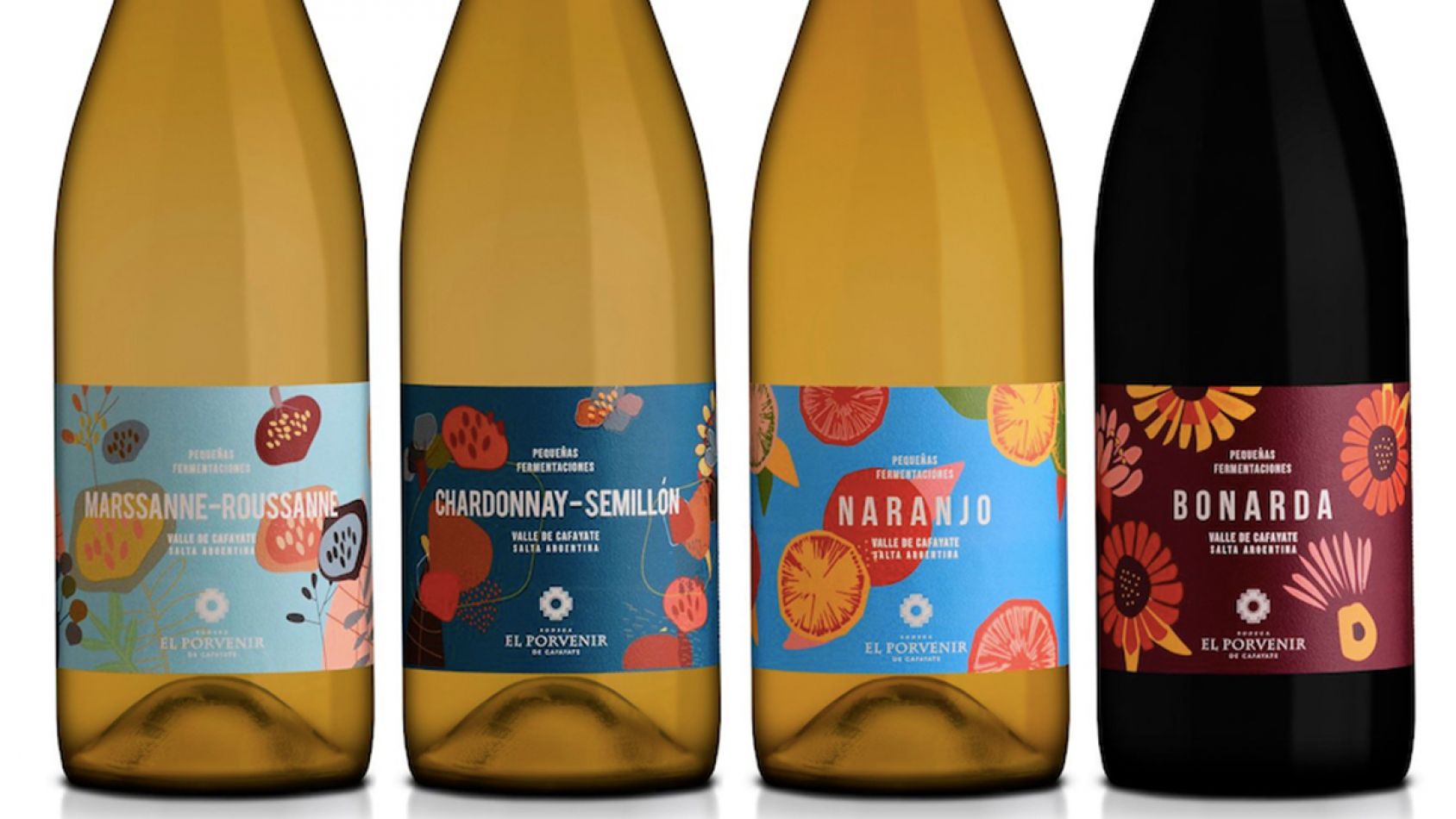 Lucia romero enologa vinos salta cafayate