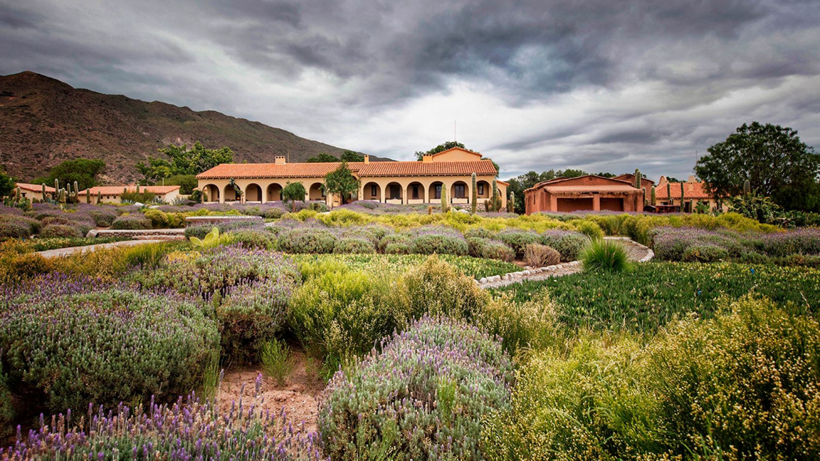 que hacer en vacaciones  en salta bodega de lujo