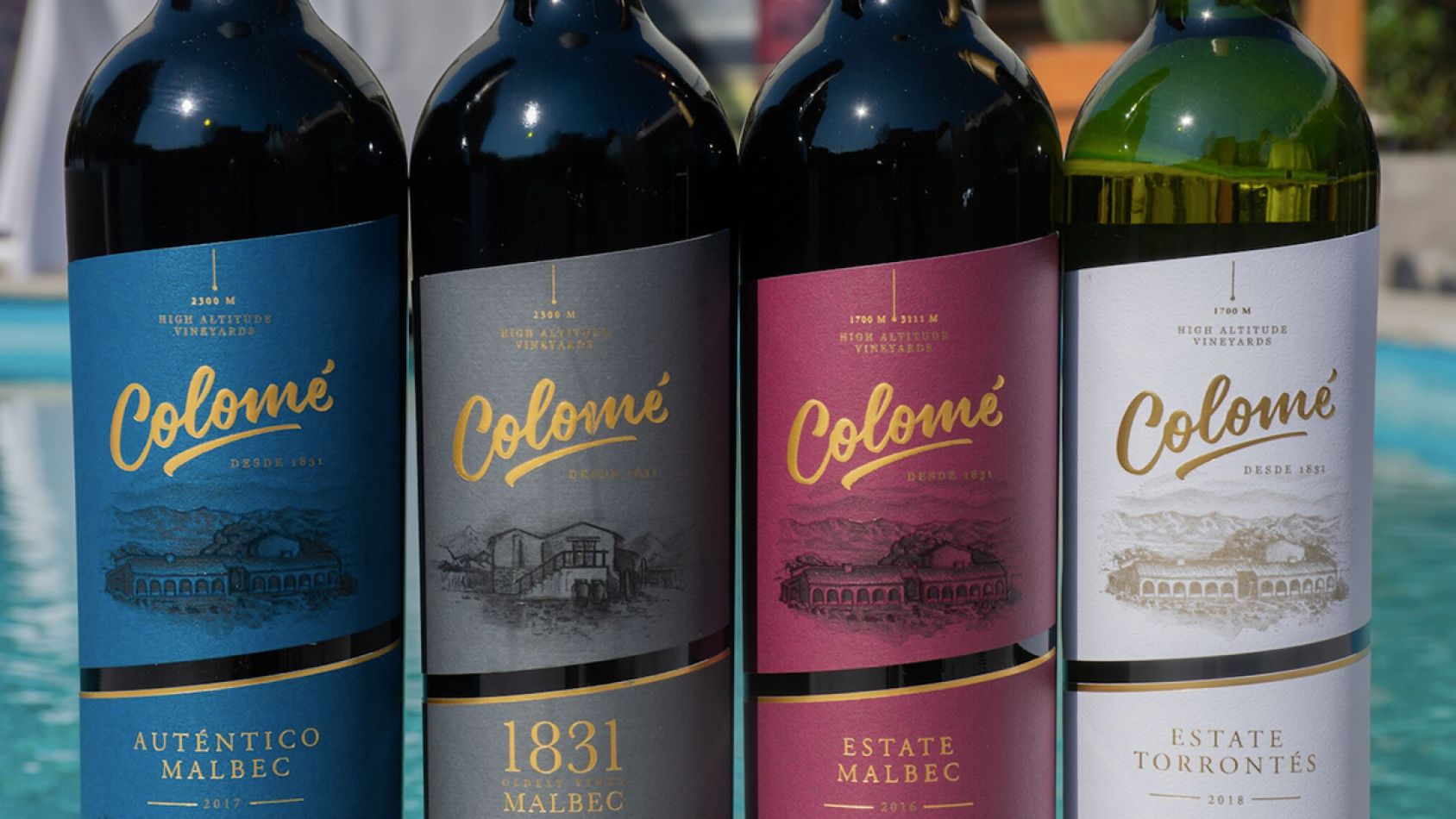 nueva etiqueta de colome vino de altura