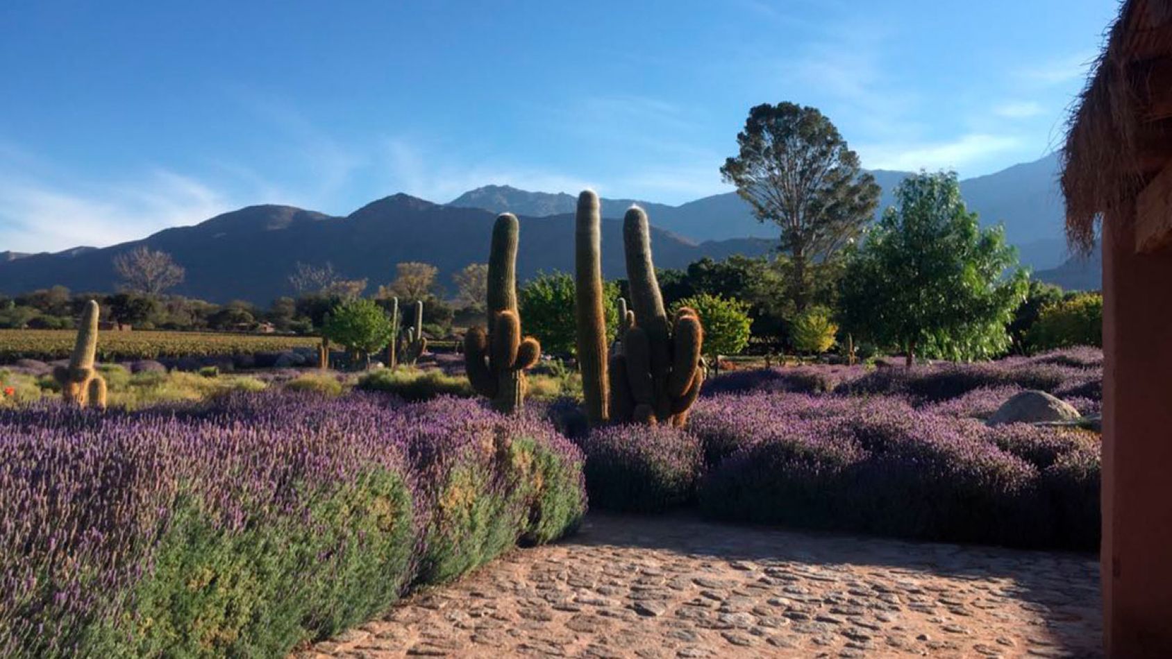 COLOME inversiones- bodega de lujo en salta