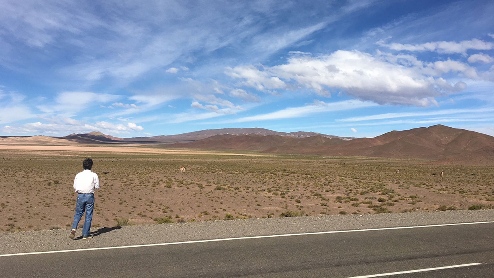 COLOME inversiones- bodega de lujo en salta