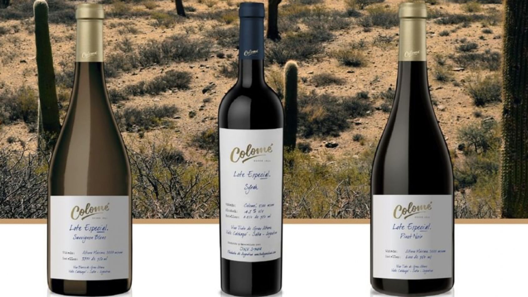 Cava colome , e comerce, venta online