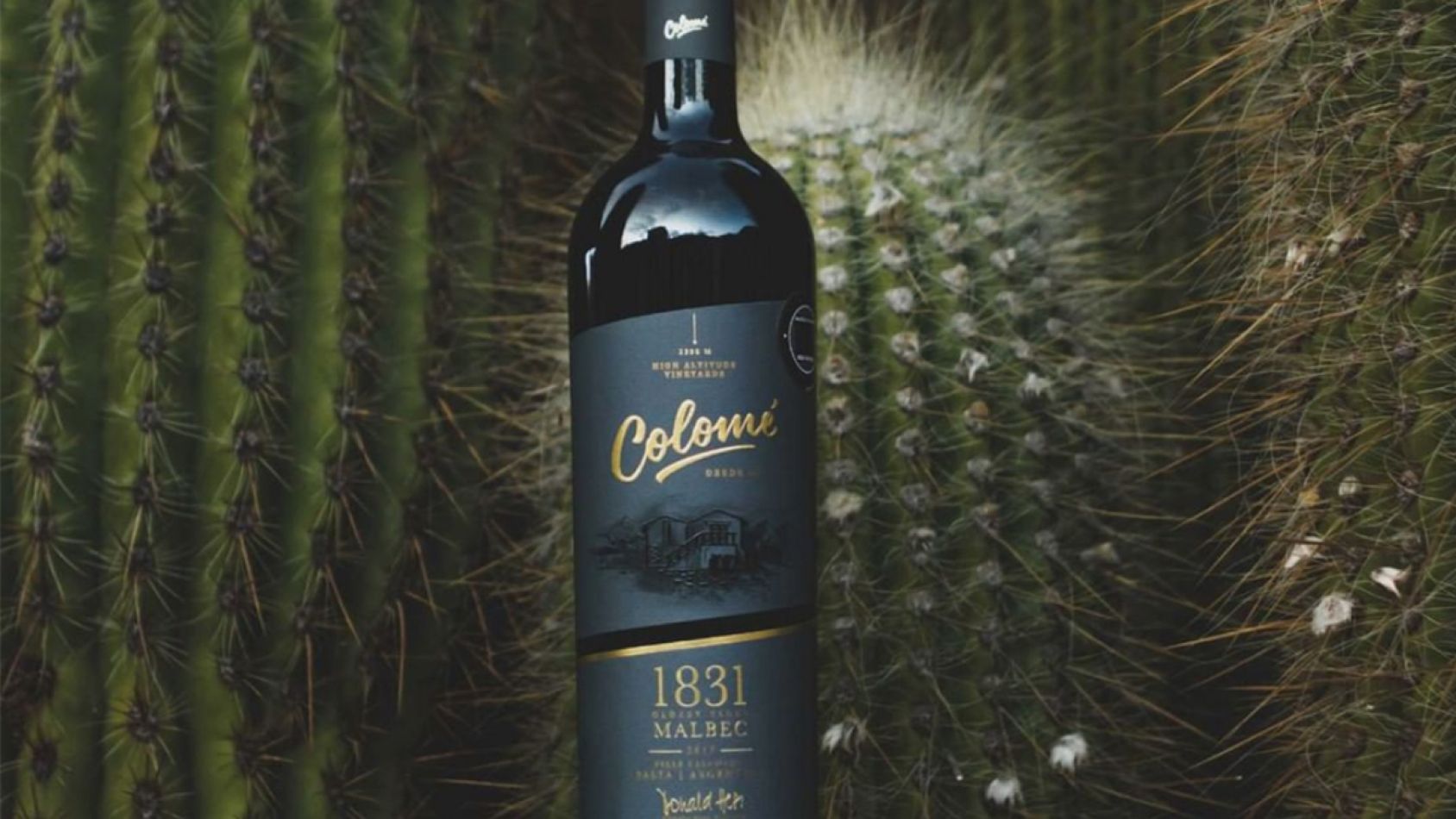 Cava colome , e comerce, venta online