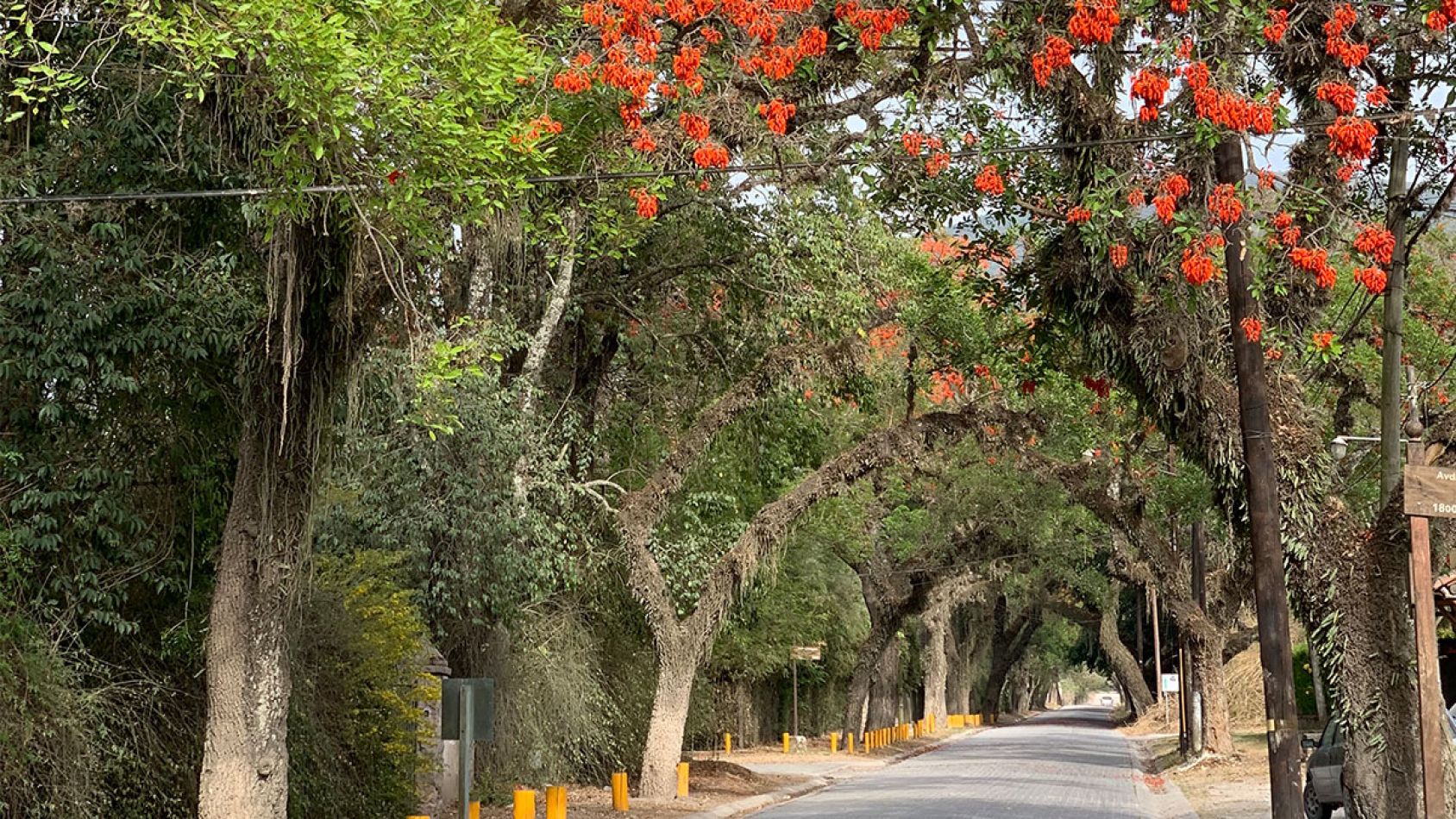 que hacer en salta - itinerario 7 dias
