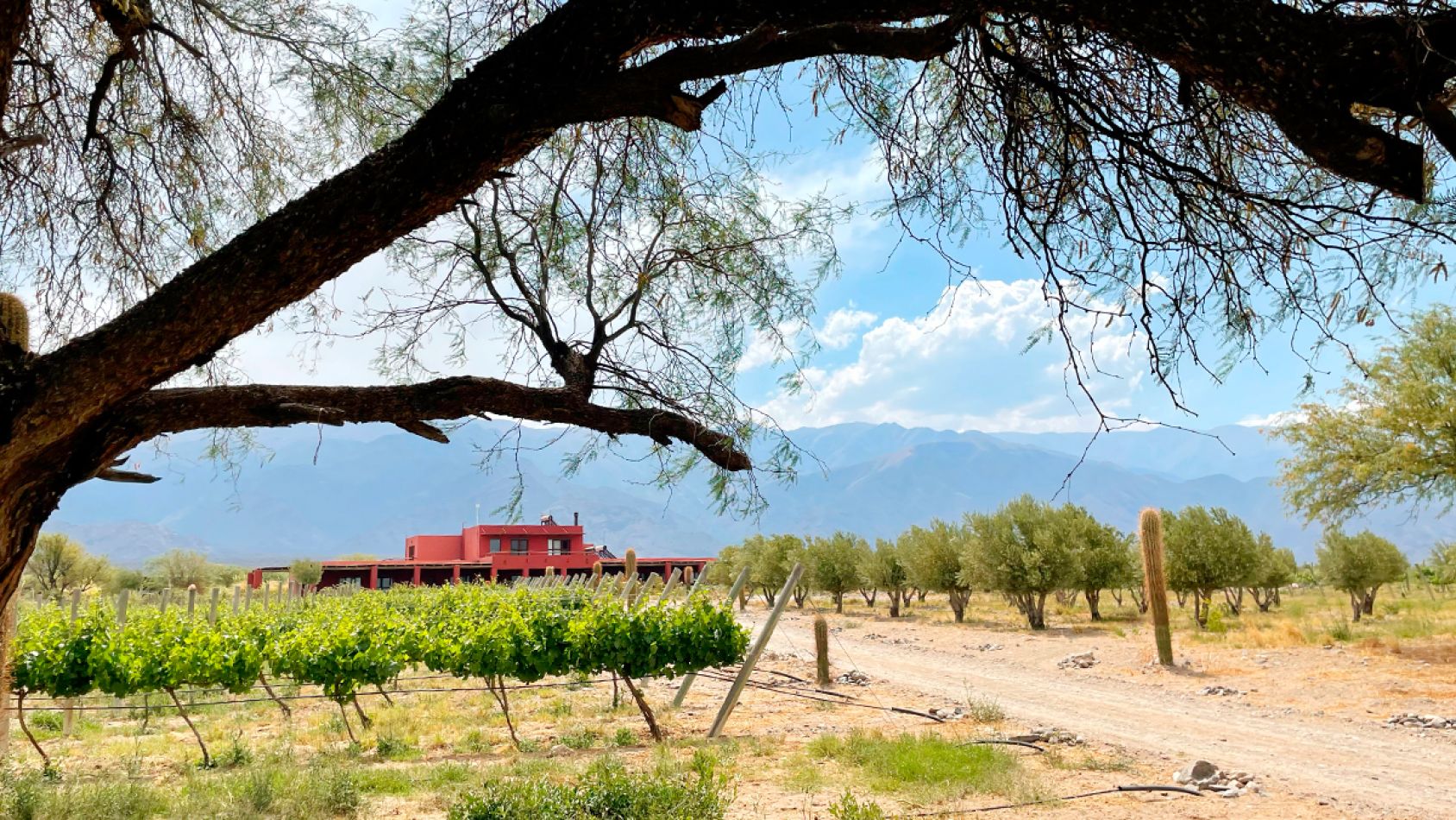 tips para visitar tucuman