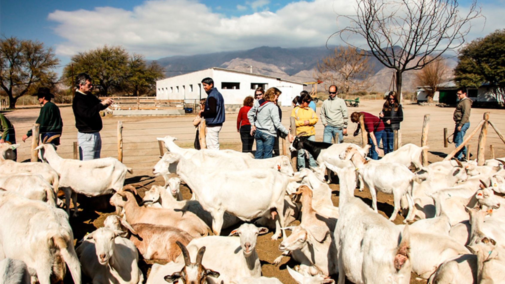 que hacer en cafayate