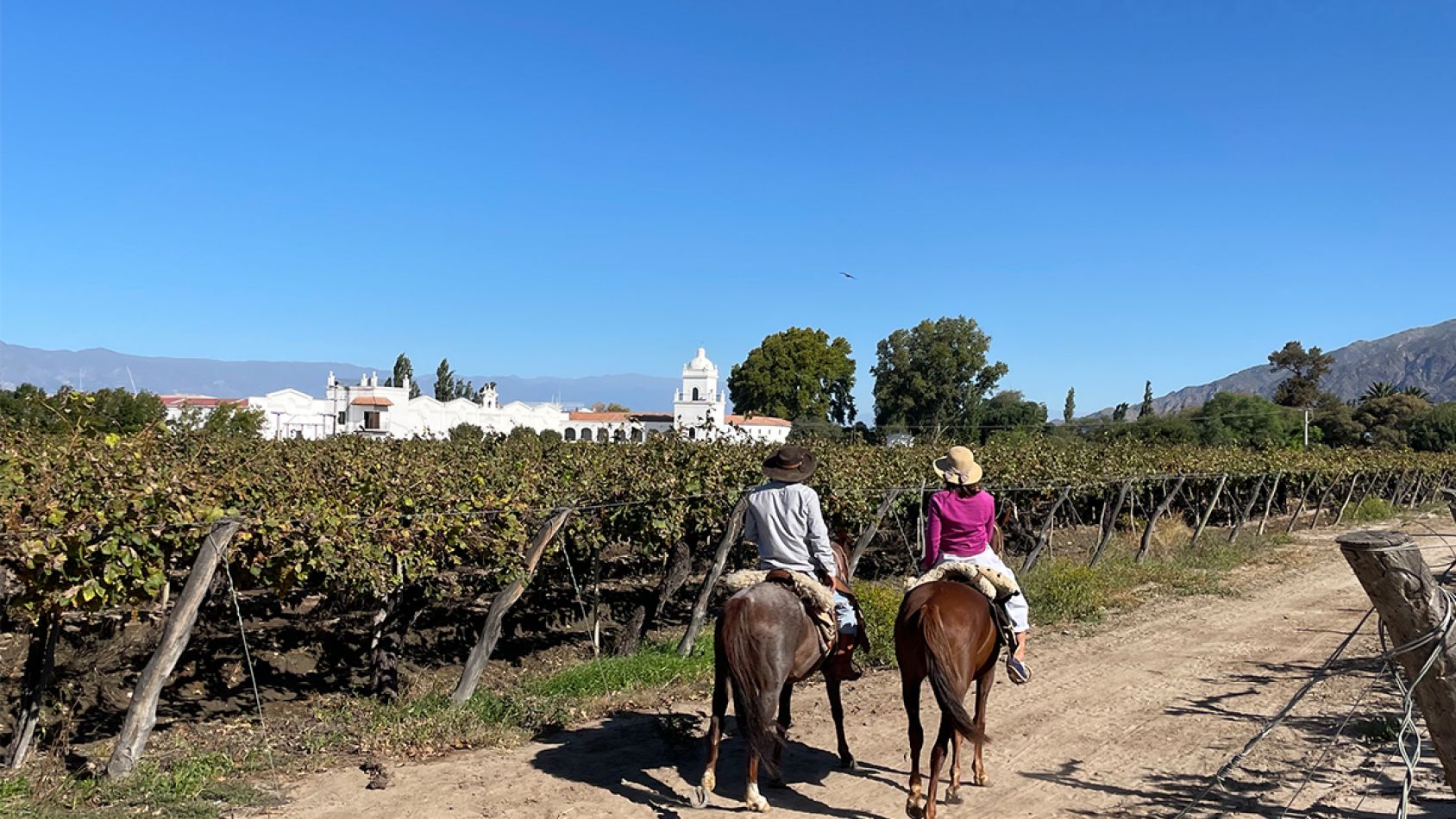 experiencia bodega el esteco, cafayate