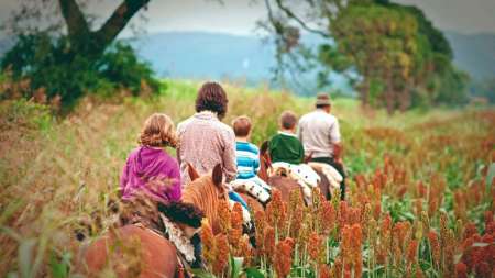 Cuatro opciones de cabalgatas en Salta