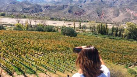 Jujuy: Vitivinicultura de extrema altura
