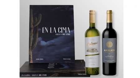 Un recorrido por la ruta del vino, desde tu casa