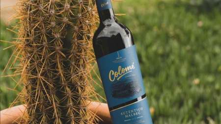 Conocé CAVA COLOMÉ